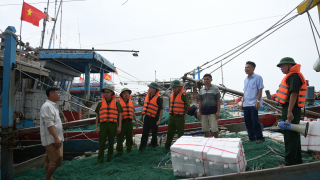 Tỉnh Ninh Bình hoàn thành 100% công tác đăng ký, đăng kiểm, cập nhật dữ liệu nghề cá, quyết liệt gỡ “thẻ vàng” IUU