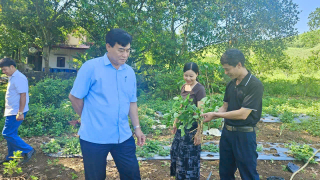 Thanh Hóa kiểm tra “điểm tựa” giảm nghèo ở xã Vĩnh Lộc