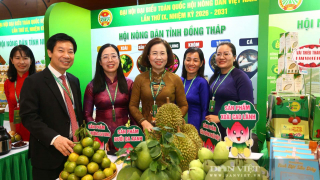 Hàng trăm đại biểu háo hức bước vào ngày làm việc đầu tiên Đại hội IX Hội Nông dân Việt Nam