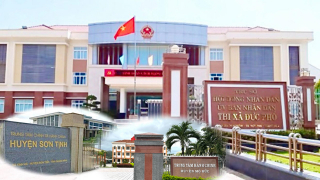 Nhiều huyện ở Quảng Ngãi “đóng cửa” nhận hồ sơ chuyển mục đích sử dụng đất hộ gia đình, cá nhân