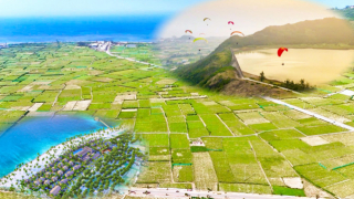  27.000m2 đất nông nghiệp được nhường chỗ làm Tổ hợp du lịch văn hóa di sản ở đảo du lịch Lý Sơn 
