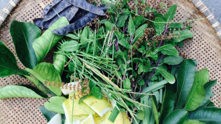 Cách phòng và chữa dị ứng thời tiết đơn giản tại nhà bằng những thảo dược “rẻ như cho”