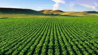 Từ năm 2025, người dân có bị thu hồi đất khi hết thời hạn thuê hay không?