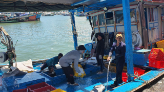 Khánh Hòa: Quý 1 xuất sang thị trường Mỹ khoảng 54 triệu USD