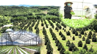 Phát triển nông nghiệp ứng dụng công nghệ cao: Hàng loạt dự án tại Kon Tum dự kiến có mức đầu tư “khủng” 