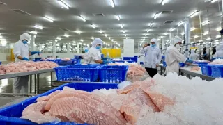 Kỷ lục, hơn 800 doanh nghiệp thủy sản Việt Nam được phép xuất khẩu vào Đài Loan, Trung Quốc