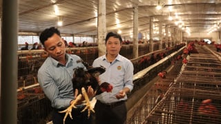 Sáp nhập Hải Phòng, Hải Dương, có một tỷ phú thấy rõ hơn cơ hội xuất khẩu nông sản sang Trung Quốc