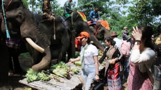 Không nằm trong diện sáp nhập, xã có diện tích lớn nhất Việt Nam sẽ đổi tên thành địa danh du lịch nổi tiếng