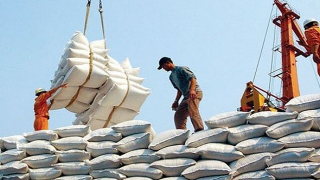 Doanh nghiệp khó khăn, ngành gạo Việt Nam vẫn đặt mục tiêu tăng trưởng cao là bao nhiêu?