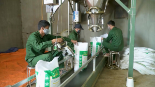  Chìa khóa thành công của HTX nông nghiệp ở Sơn La