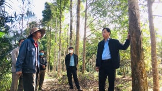 Giao khoán đất lâm nghiệp, phải “trao quyền” cho nông dân trồng rừng