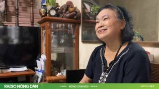 “Ngải” đắng giữa rừng bom rơi