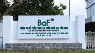Bán ra 160.000 con lợn với giá cao, một 'ông lớn' trong ngành chăn nuôi của Việt Nam lãi đậm