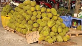 Sự thật đằng sau tấm biển '30.000 đồng/kg sầu riêng'  