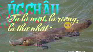 Úc châu, “Ta là một, là riêng, là thứ nhất”: “Quái thú” gây tranh cãi “sứt đầu mẻ trán” (Bài 8)