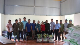 Sản xuất cà phê bền vững nhờ hỗ trợ của Hội Nông dân Sơn La