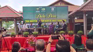 'Thái Nguyên - Trăm năm đệ nhất danh trà' khẳng định vị thế, nâng giá trị cây chè vươn tầm quốc tế