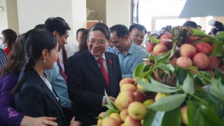 Đại gia bán lẻ Thái Lan sẽ tiêu thụ khoảng 1.000 tấn vải thiều của tỉnh Bắc Giang mùa vụ 2025