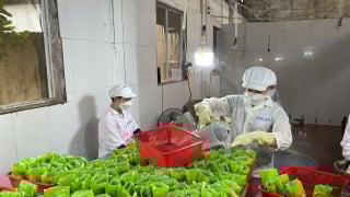 OCOP Lạc Thủy vượt qua 'danh hiệu' để tìm giá trị thật