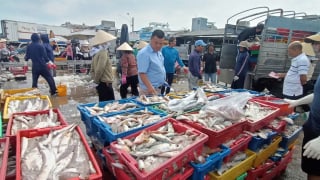 Trước ngày sáp nhập TP HCM, Bình Dương, ngành chức năng Bà Rịa-Vũng Tàu đang hỗ trợ doanh nghiệp xuất khẩu hải sản một việc quan trọng