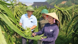 Người gieo 'quả ngọt' trên đất Đồng Yên ở Hà Giang