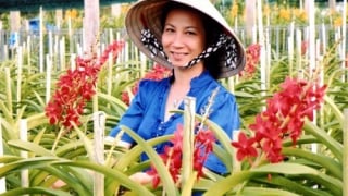 Tượng đài nông dân xóa nghèo trên đất thép Củ Chi (Bài cuối): Tiên phong xây dựng lớp nông dân mới
