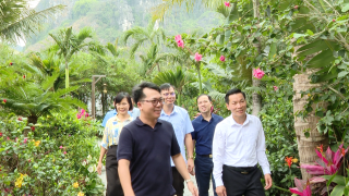 Hướng tới Đại hội Hội Nông dân Việt Nam lần thứ IX: Nông dân một phường ở Ninh Bình làm du lịch, đầu tư hàng chục tỷ 