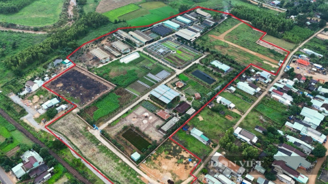 Kiểm tra dự án trồng rau VietGAP ở Bình Định, Giám đốc Sở nói 'phát hiện sai phạm quá nhiều'
