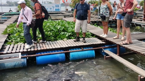 Thủy sản Việt Nam trước nguy cơ mất thị phần trên thị trường Mỹ do chính sách thuế của Tổng thống Donald Trump