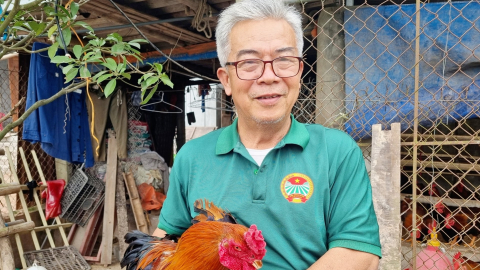 Lão nông U70 ở Ninh Bình chăm đàn gà trên đệm lót sinh học, nuôi sâu canxi, trùn quế thu 100 triệu đồng/năm