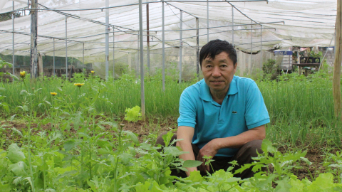 Tiền vốn Quỹ hỗ trợ nông dân 'rót' vào đất nông nghiệp ở Lạng Sơn, rau, hoa, trái mang tiền về cho nông dân