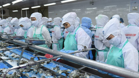 Mỹ, Trung Quốc đang mua nhiều tôm nhất từ Việt Nam, VASEP đề xuất “2 gói” hỗ trợ cho doanh nghiệp