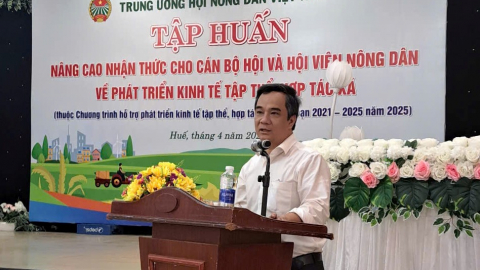  Hội Nông dân Việt Nam tập huấn về phát triển kinh tế tập thể cho 300 cán bộ, hội viên ở Huế 
