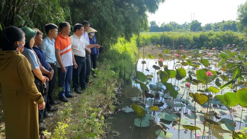 Nhiều tổ hội nông dân nghề nghiệp tại thành phố Huế có doanh thu tiền tỷ 