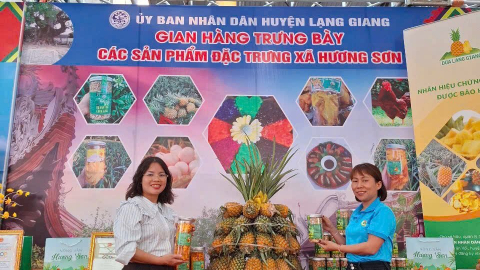 Ở 2 tỉnh Lạng Sơn, Bắc Giang dân phấn chấn vì loại quả ngon này đang bán giá tốt