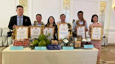 Thủ tướng Chính phủ ban hành quy định sửa đổi, bổ sung về phân cấp đánh giá, phân hạng sản phẩm OCOP, nhiệm vụ của cấp xã là gì?