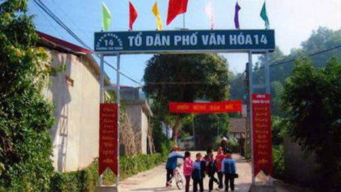 Trước mắt có sáp nhập thôn, tổ dân phố hay không?