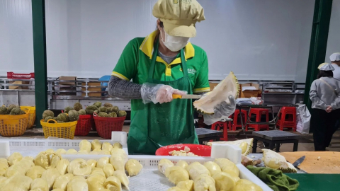 Sầu riêng tiêu thụ chậm do doanh nghiệp không 'ăn hàng', sầu riêng đông lạnh mới xuất khẩu được 24 tấn 