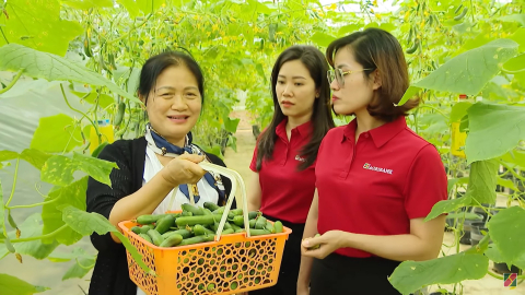 Dòng vốn ưu đãi 50.000 tỷ đồng từ Agribank: Tiếp sức sản xuất, đồng hành cùng triệu hộ kinh doanh
