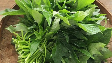 Loại rau xưa chỉ cho lợn ăn, nay thành đặc sản được ưa chuộng ở thành phố, xào hay làm bánh đều ngon