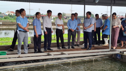 Nuôi trồng thủy sản vùng ĐBSH: 'Nóng' chuyện con giống kém chất lượng, ô nhiễm môi trường nước, cá 'ăn' cả sổ đỏ