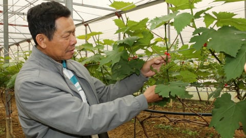 Người lính Cụ Hồ và hành trình từ hai bao tải tiền đến cơ nghiệp tiền tỷ