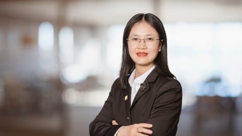 Biệt thự, nhà liền kề Hà Nội Quý 1/2025: Đông Anh và Đan Phượng hút khách