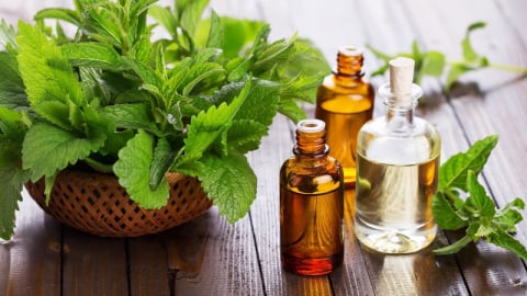 Cách chữa đau đầu bằng tinh dầu bạc hà - sảng khoái, dễ chịu, thư giãn