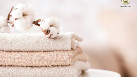CEO Nguyễn Tự Hưng: “Tôi có 10 năm kinh nghiệm với thị trường khăn bông trước khi Thái Bình Towel ra đời”