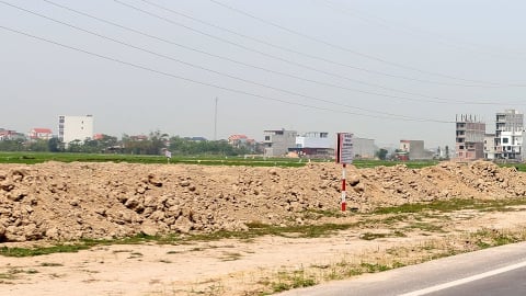 Trước khi sáp nhập với Bắc Ninh, Chủ tịch UBND tỉnh Bắc Giang chỉ đạo làm ngay một việc, chuẩn bị bán 165.000 tấn quả đặc sản đi khắp toàn cầu