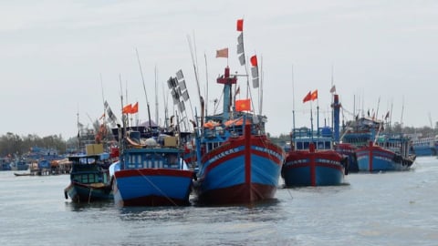 Trung Quốc thông báo cấm đánh bắt cá có thời hạn, Hội Thủy sản Việt Nam kiến nghị có giải pháp bảo vệ ngư dân bám biển