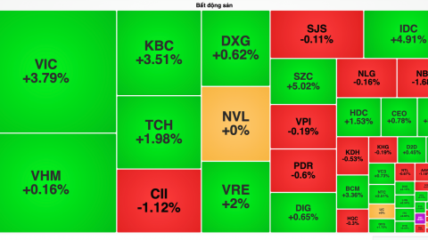Cổ phiếu của 'ông trùm' thép Hoà Phát tác động tiêu cực nhưng VN-Index vẫn vững đà tăng
