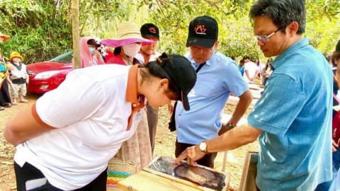 Quỹ HTND tỉnh Bà Rịa-Vũng Tàu hỗ trợ nhiều mô hình sản xuất hiệu quả, nông dân khá giả hẳn lên