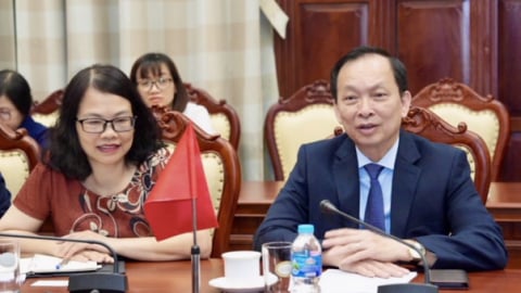 Phó Thống đốc Đào Minh Tú nói gì về quan hệ Ngân hàng Nhà nước Việt Nam - Pakistan trong lĩnh vực ngân hàng?
